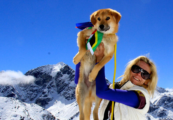 Первая собака-альпинист, покорившая Эверест